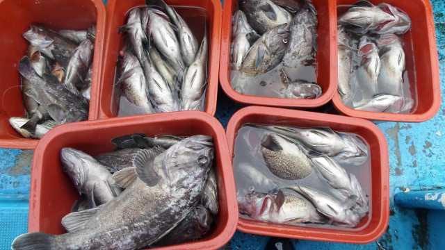 27일 단체 조황 사진 2
