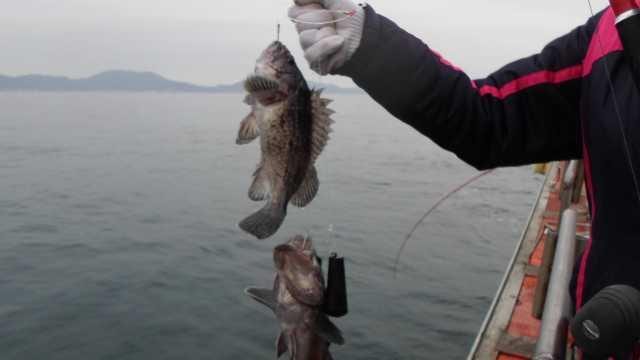 10일 굿조황 사진 4
