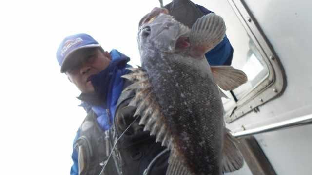 13일 조황 사진 3