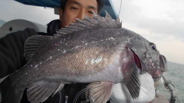 13일 조황 사진 4