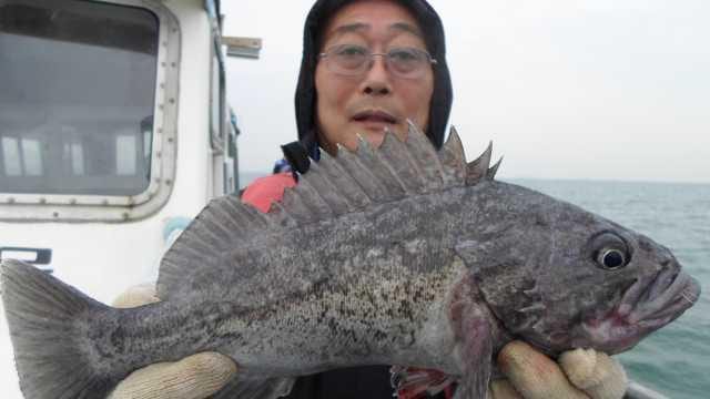 21일5명 조황 사진 6