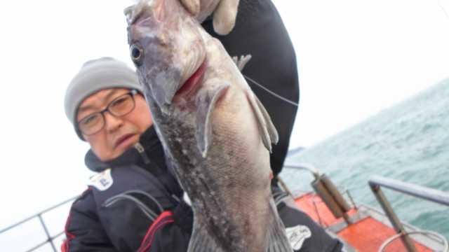 25일7명 조황 사진 7