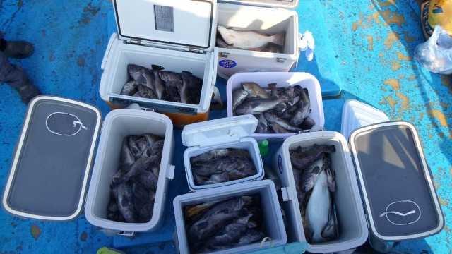 25일7명 조황 사진 12