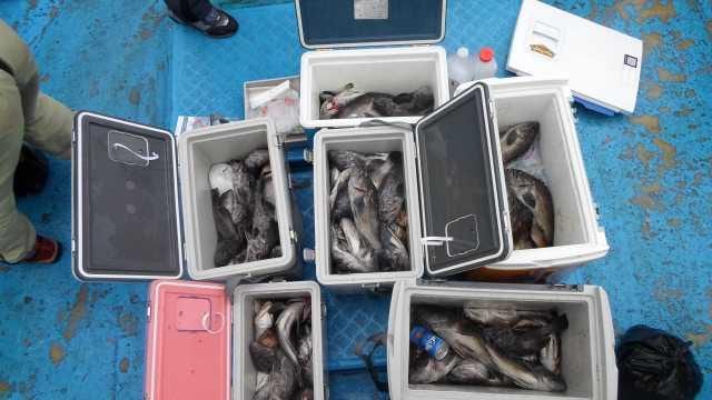 26일조황 사진 1