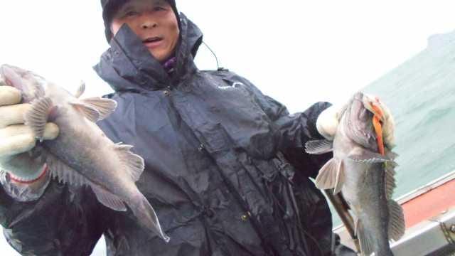 26일조황 사진 4