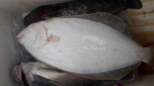 26일조황 사진 12