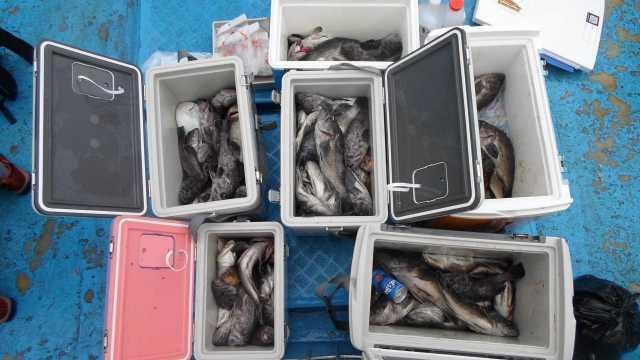 26일조황 사진 17