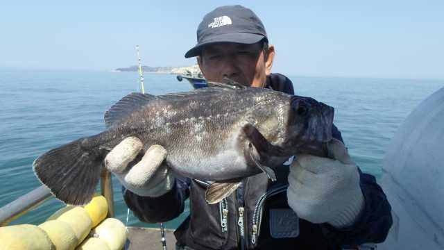 5월3일 조황 사진 27
