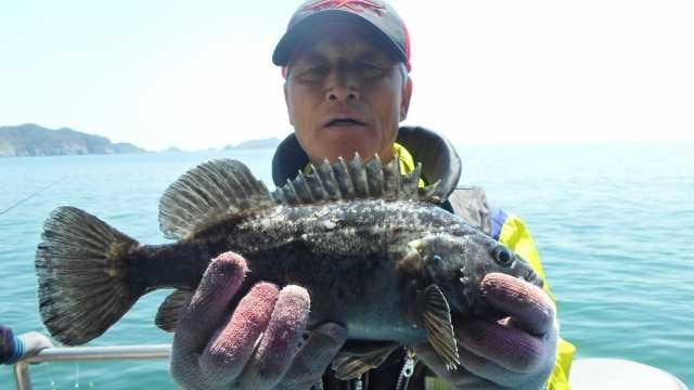 5월3일 조황 사진 32
