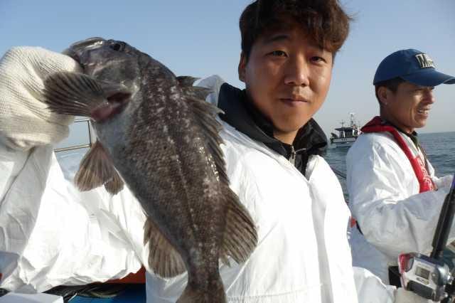 6일조황 사진 5