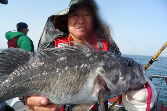 6일조황 사진 1