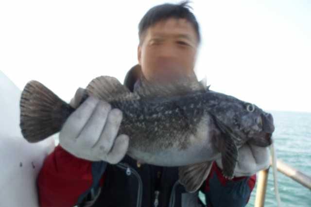 6일조황 사진 11