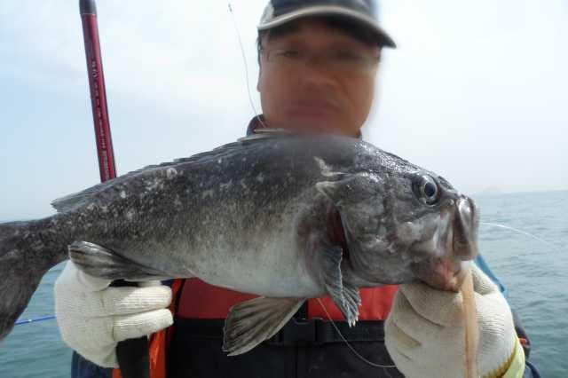 6일조황 사진 15