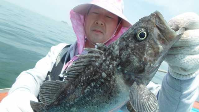 20일조항 사진 10