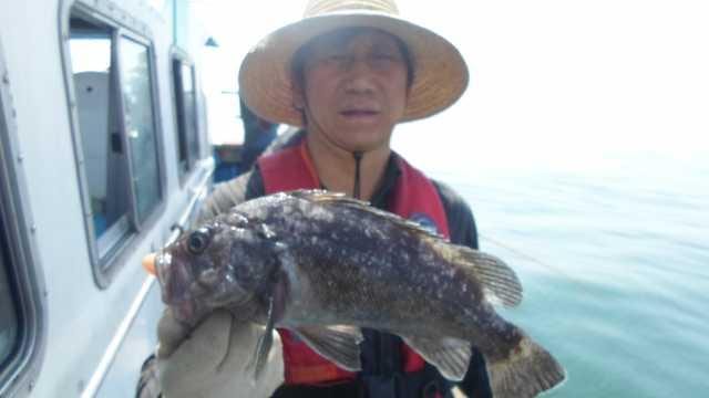 20일조항 사진 14