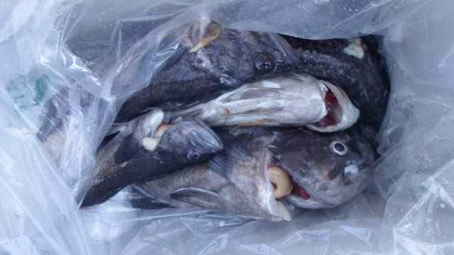 21일 조항 사진 20
