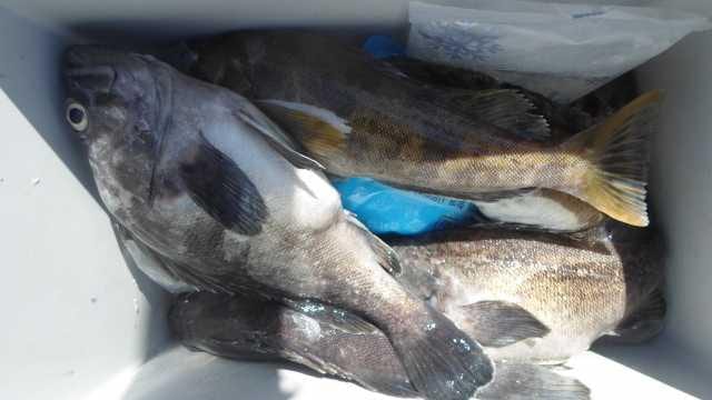 21일 조항 사진 21