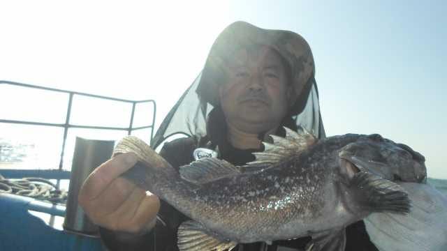 3일조항 사진 8