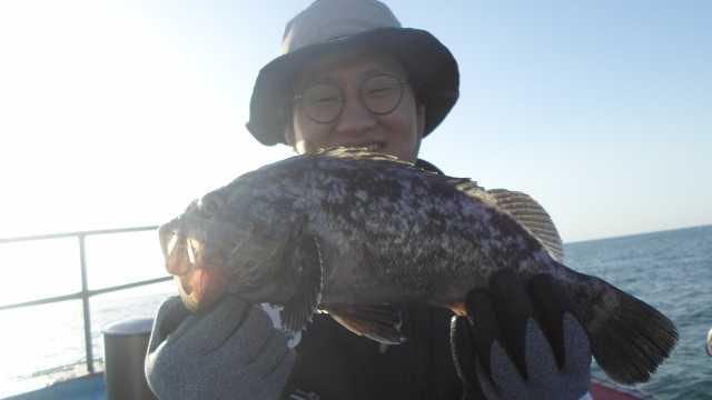 4일 놀리팀 조항 사진 3