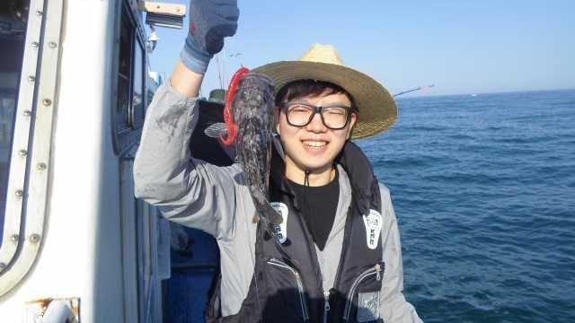 4일 놀리팀 조항 사진 5