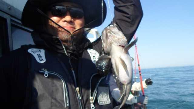 4일 놀리팀 조항 사진 6