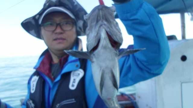 4일 놀리팀 조항 사진 8