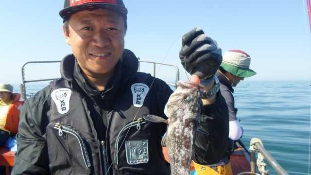 4일 놀리팀 조항 사진 9