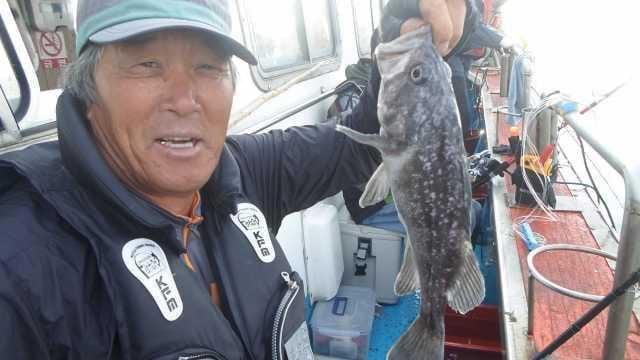 5일 조항 사진 6