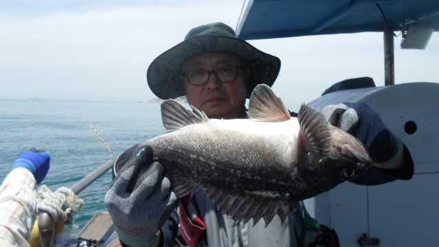 5일 조항 사진 28
