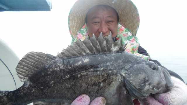 6월6일조항 사진 20