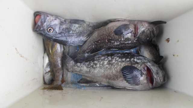 6월6일조항 사진 27