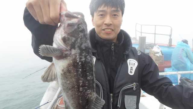 11일 놀리팀 조항 사진 2
