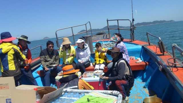 11일 놀리팀 조항 사진 10