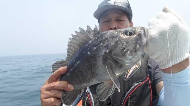 17일 단체조항 사진 11