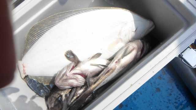 17일 단체조항 사진 17