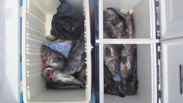 18일 조항 사진 24