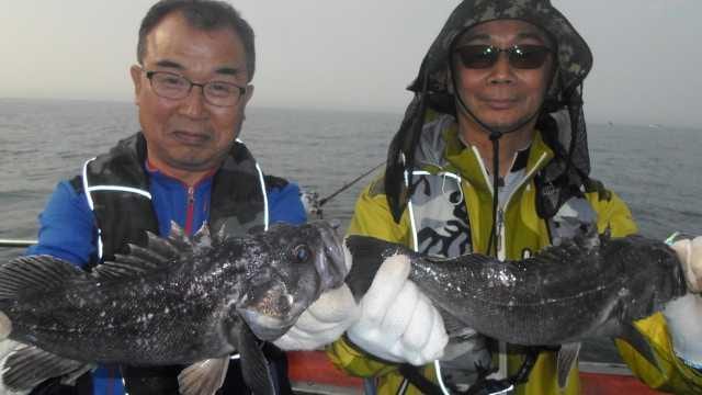 20일 조항 사진 1