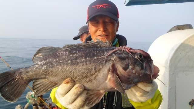 20일 조항 사진 2