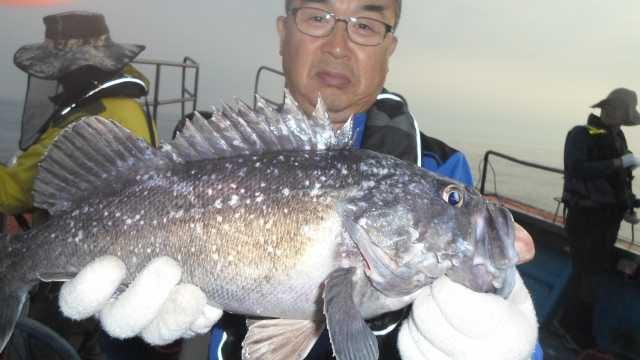 20일 조항 사진 4