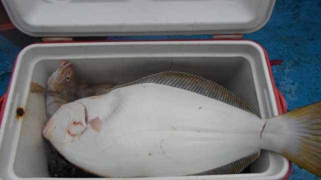 20일 조항 사진 17