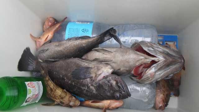 20일 조항 사진 20