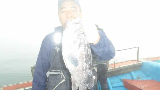 15일 조항 사진 4