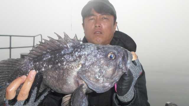 15일 조항 사진 5