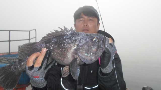 15일 조항 사진 6