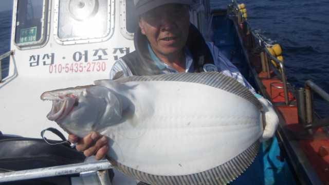 8월4일 5명 오전조항 사진 6