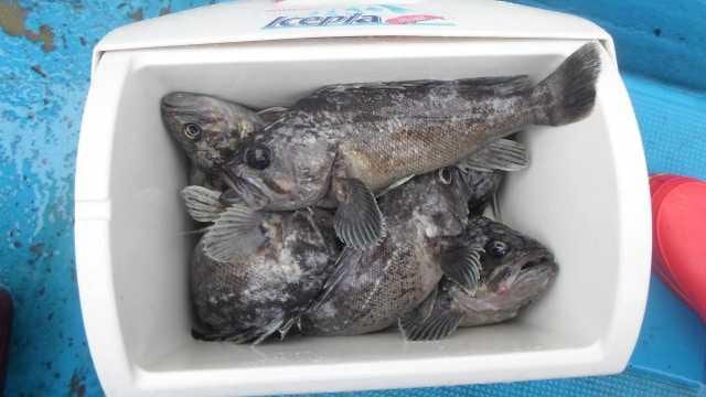 8일 가족 조항 사진 3