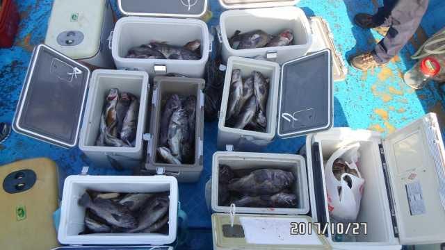 27일 조항 사진 1