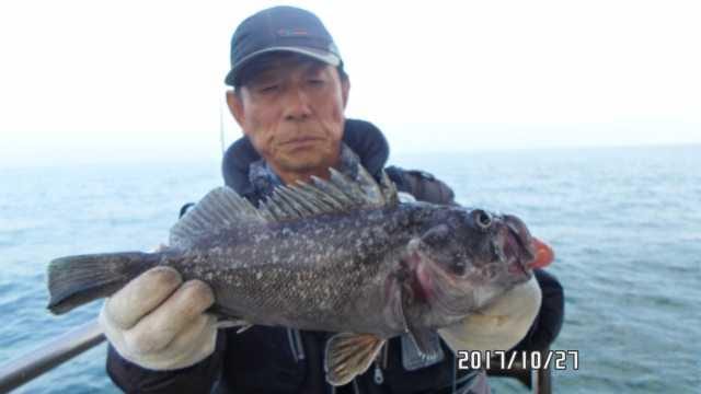 27일 조항 사진 7