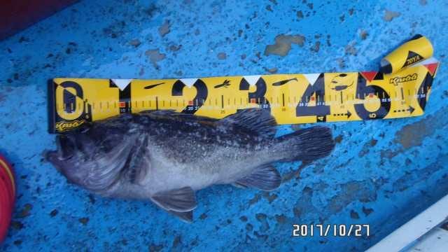 27일 조항 사진 11