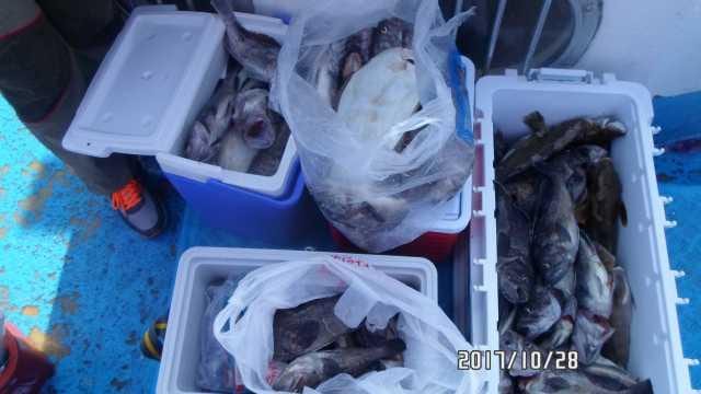 28일 조항 사진 2